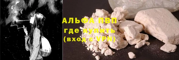 PSILOCYBIN Пересвет