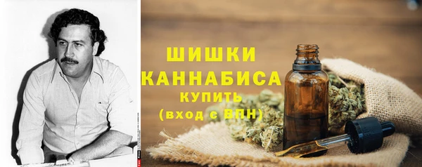 ALPHA PVP Покачи
