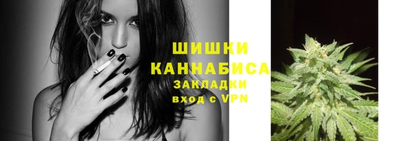 МДПВ Богородицк