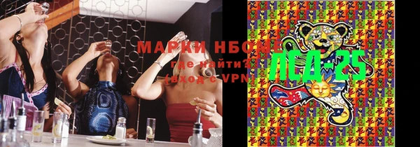 PSILOCYBIN Покров