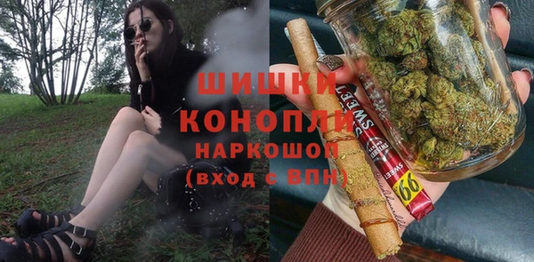 PSILOCYBIN Покров
